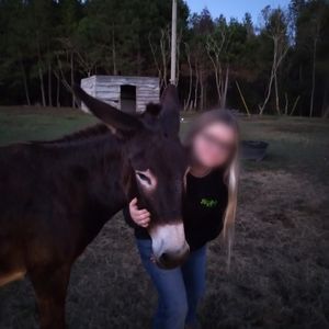 Meet your Posher, Horse